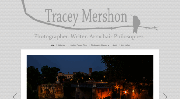 traceymershon.com