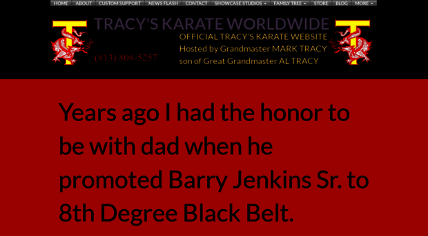 tracyskarateworldwide.com