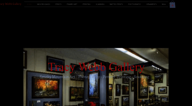 tracywebbgallery.com