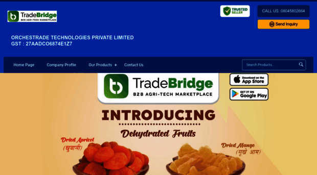 tradebridge.org.in