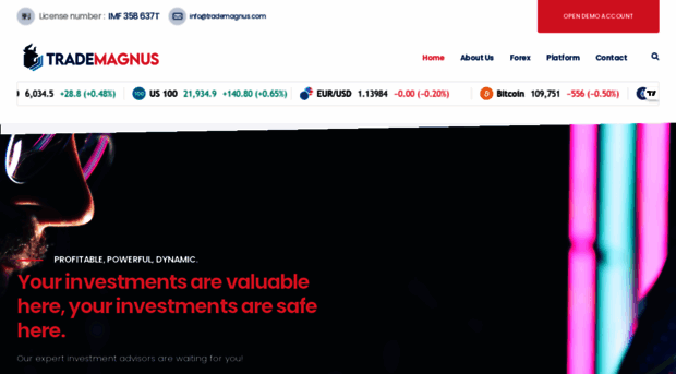 trademagnus.com