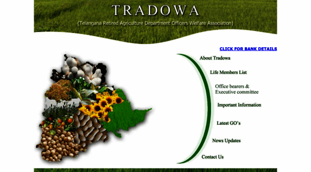 tradowa.com