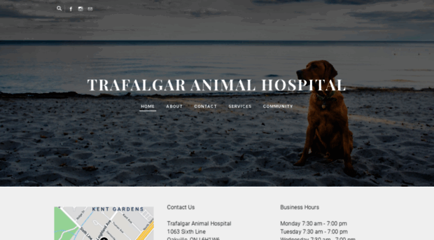 trafalgaranimalhospital.com