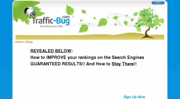 traffic-bug.com