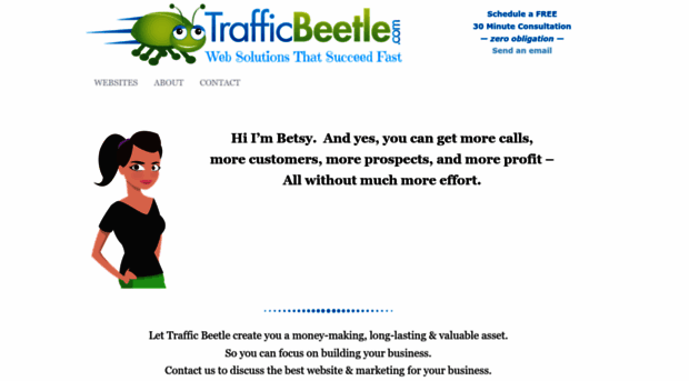 trafficbeetle.com