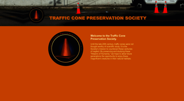 trafficcone.com