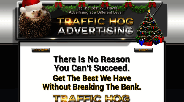 traffichogadvertising.com