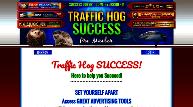 traffichogsuccess.com