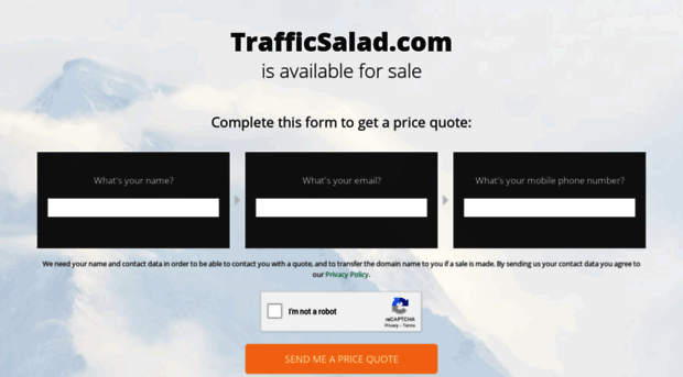 trafficsalad.com