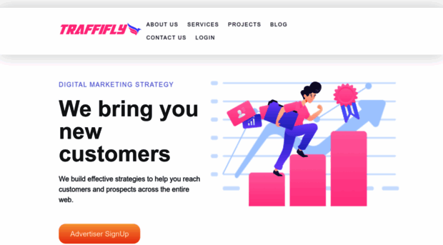 traffifly.com