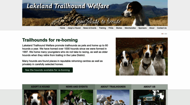 trailhoundwelfare.org.uk