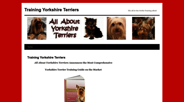 training-yorkshire-terriers.com