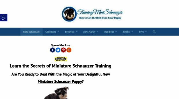 trainingminischnauzer.com