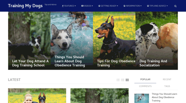 trainingmydogs.com