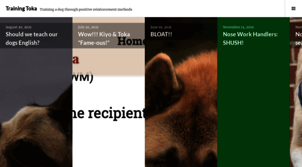 trainingtoka.wordpress.com