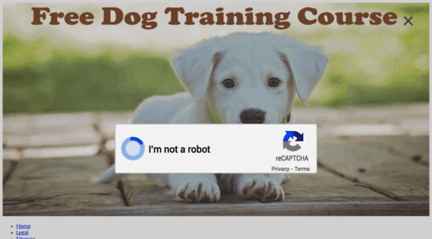 trainyourpetdog.com