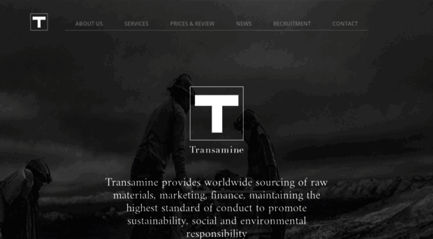 transaminetrading.com