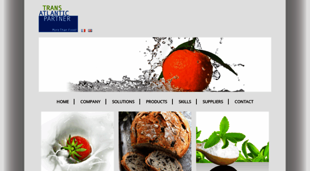 transatlanticpartner.com