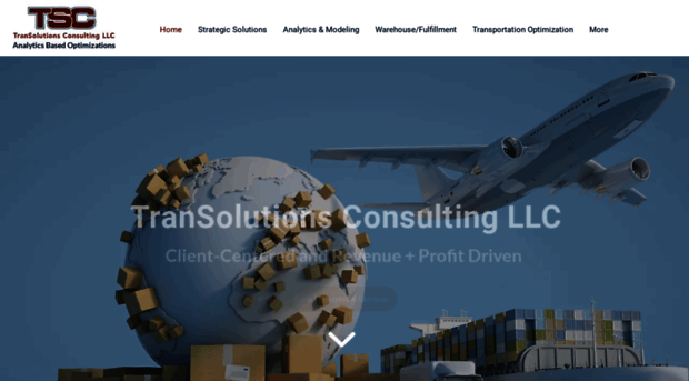 transconsulting.com