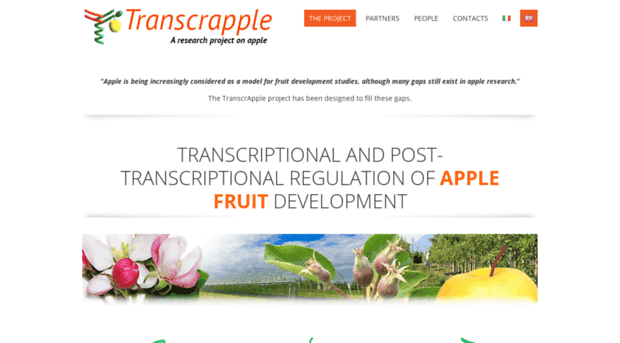 transcrapple.com