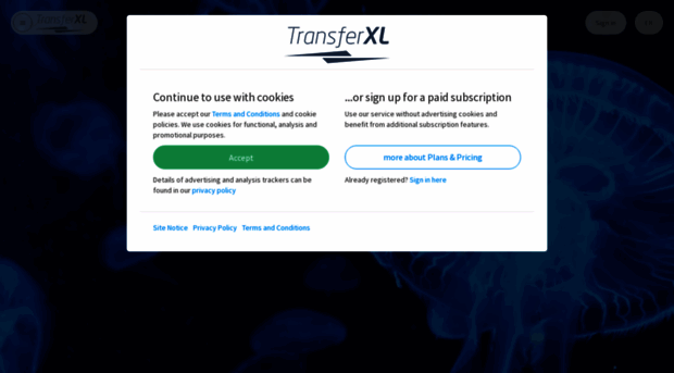 transferxl.com