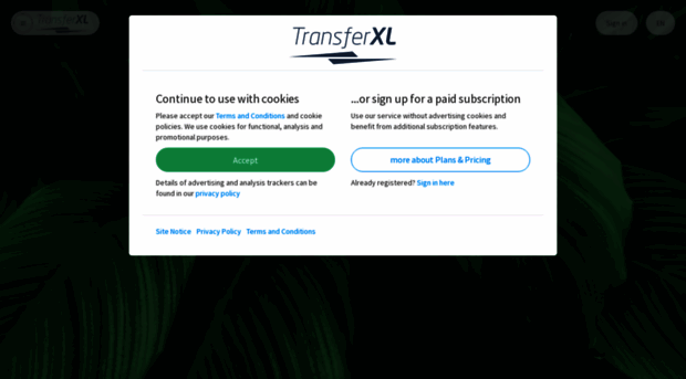 transferxl.com