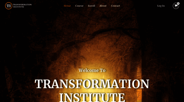 transformationinstitute.org