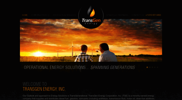 transgen-energy.com