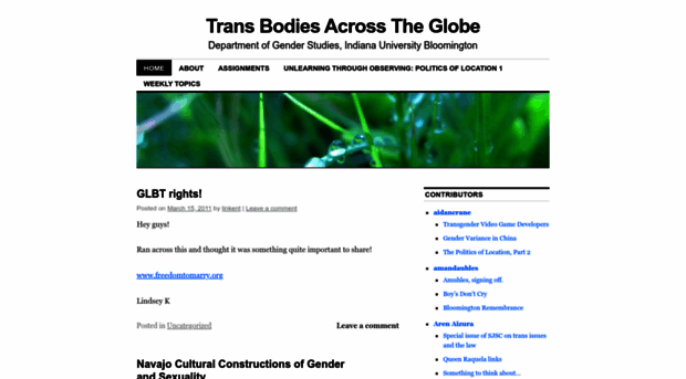 transgenderglobe.wordpress.com