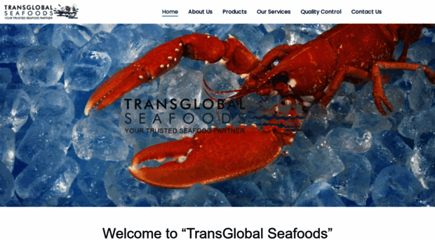 transglobal.co.in