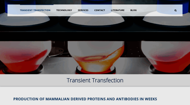 transient-transfection.com