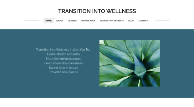 transitionintowellness.com