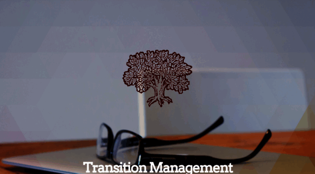 transitionmanagement.us