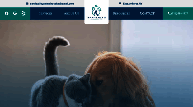transitvalleyanimalhospital.com