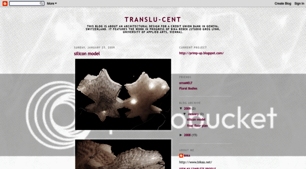 translu-cent.blogspot.com
