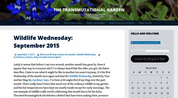 transmutationalgarden.wordpress.com