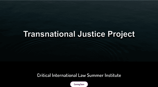 transnationaljusticeproject.com