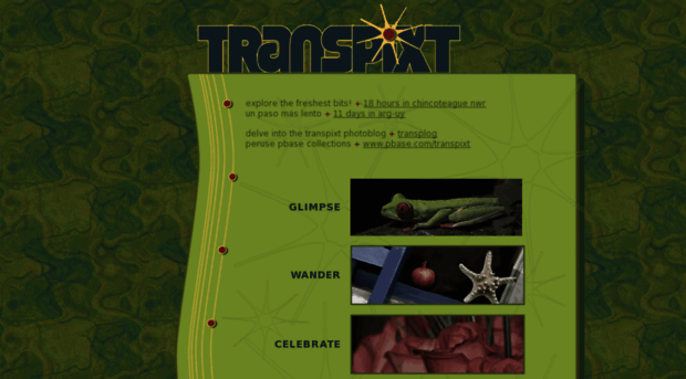 transpixt.com