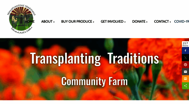 transplantingtraditions.org