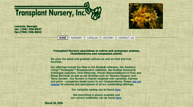 transplantnursery.com