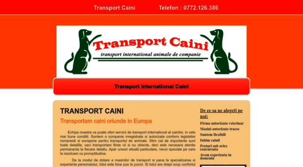 transport-caini.info