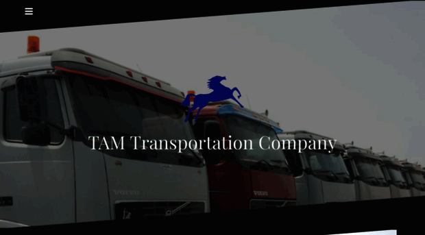 transport-tam.com