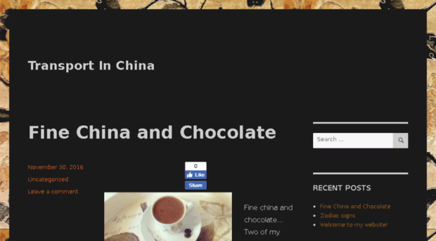 transportinchina.com