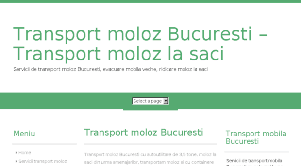 transportmoloz.com