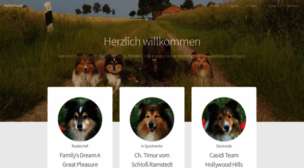 traumhunde.net