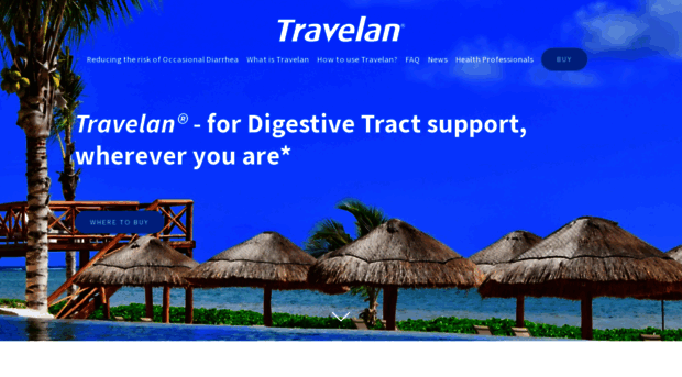 travelanusa.com