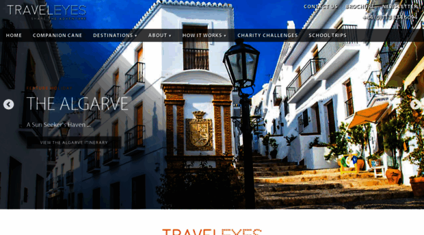 traveleyes-international.com