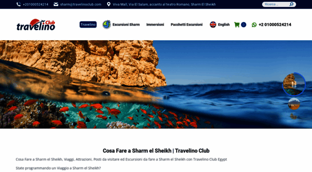 travelinoclub.com