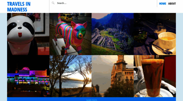 travelsinmadness.wordpress.com