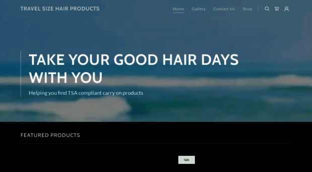 travelsizehairproducts.com